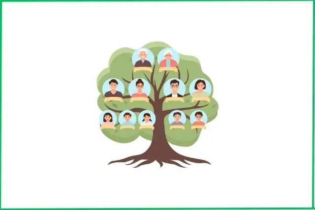 árbol-genealógica
