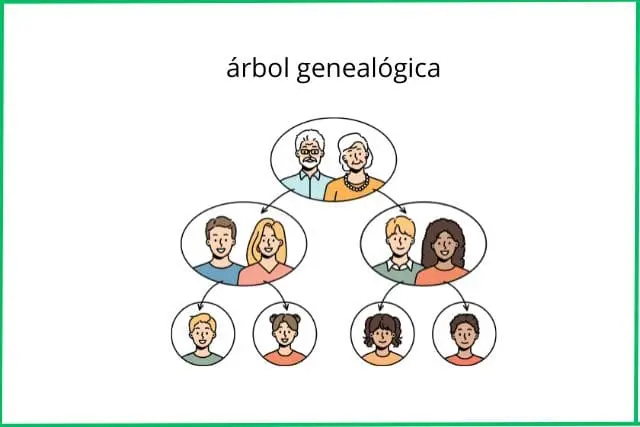árbol-genealógica-descubra-la-origen-de-su-apellido